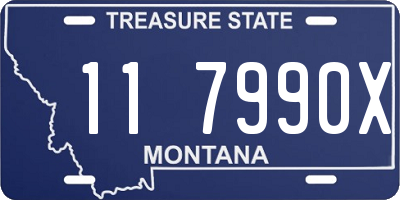 MT license plate 117990X