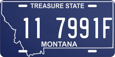 MT license plate 117991F