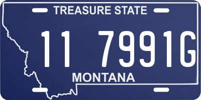 MT license plate 117991G