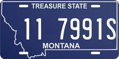 MT license plate 117991S