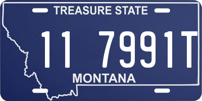 MT license plate 117991T