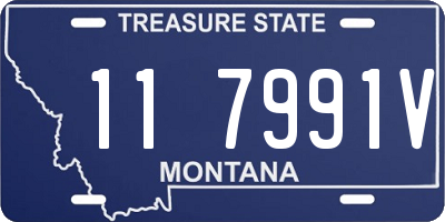 MT license plate 117991V