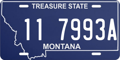 MT license plate 117993A