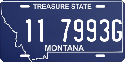 MT license plate 117993G