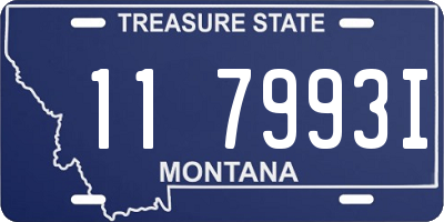 MT license plate 117993I