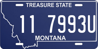 MT license plate 117993U