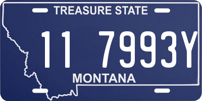 MT license plate 117993Y