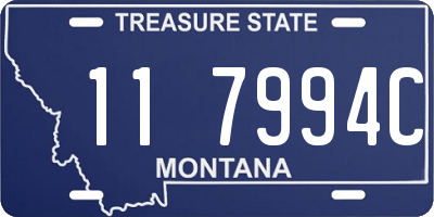 MT license plate 117994C