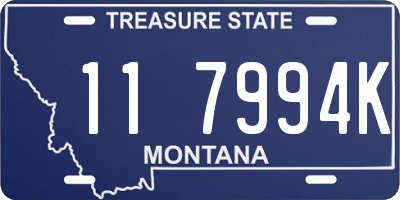 MT license plate 117994K