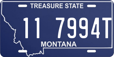 MT license plate 117994T