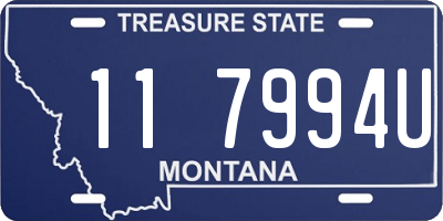 MT license plate 117994U