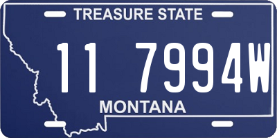MT license plate 117994W