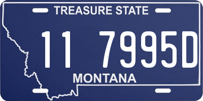 MT license plate 117995D