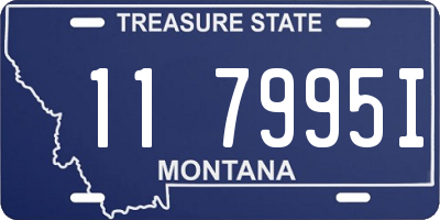 MT license plate 117995I