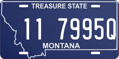 MT license plate 117995Q