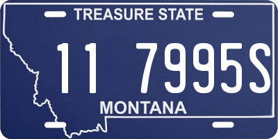 MT license plate 117995S