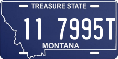 MT license plate 117995T