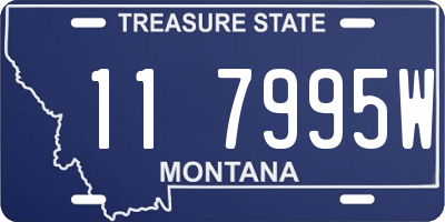 MT license plate 117995W