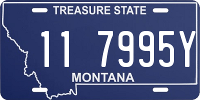 MT license plate 117995Y