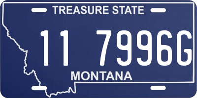 MT license plate 117996G