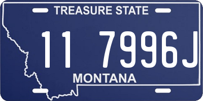 MT license plate 117996J