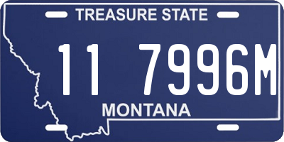 MT license plate 117996M