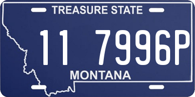 MT license plate 117996P