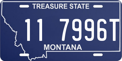 MT license plate 117996T