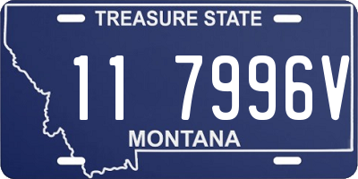 MT license plate 117996V