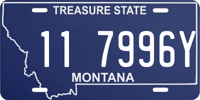 MT license plate 117996Y