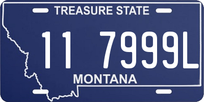 MT license plate 117999L