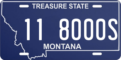 MT license plate 118000S