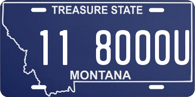 MT license plate 118000U