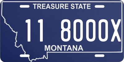 MT license plate 118000X
