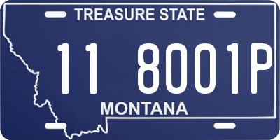 MT license plate 118001P