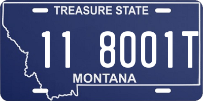 MT license plate 118001T