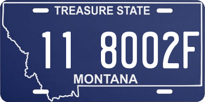 MT license plate 118002F