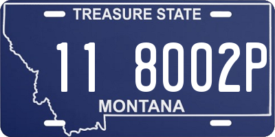 MT license plate 118002P