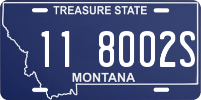 MT license plate 118002S