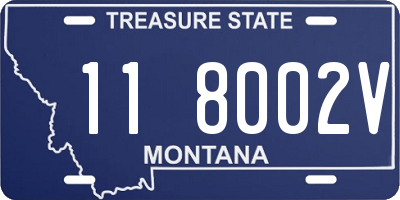 MT license plate 118002V