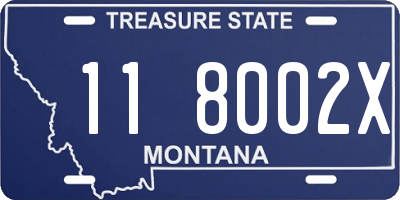 MT license plate 118002X