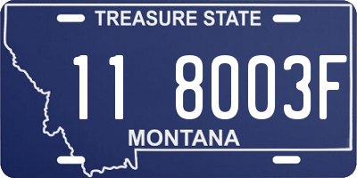 MT license plate 118003F