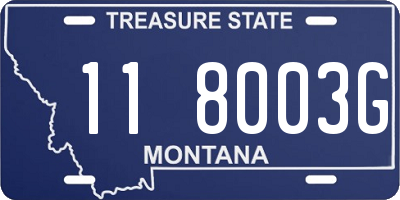 MT license plate 118003G