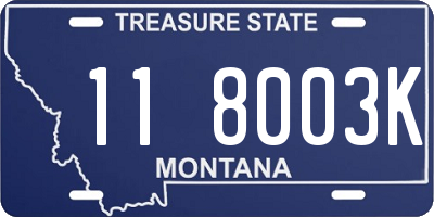 MT license plate 118003K