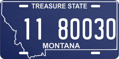 MT license plate 118003O