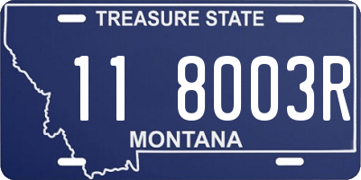 MT license plate 118003R