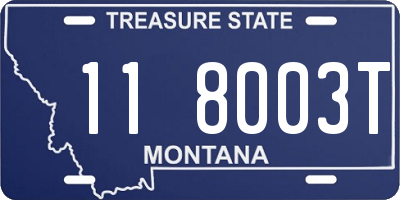MT license plate 118003T