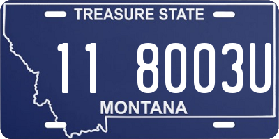 MT license plate 118003U