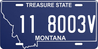 MT license plate 118003V