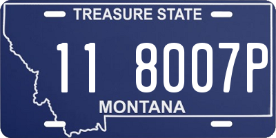 MT license plate 118007P